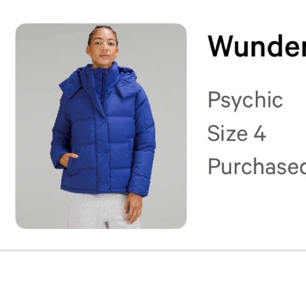 Wonder Puff Down Jacket - Blue - image 5